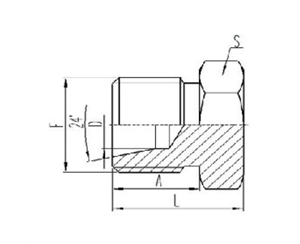 公製外（wài）螺紋24°內錐麵密封堵頭