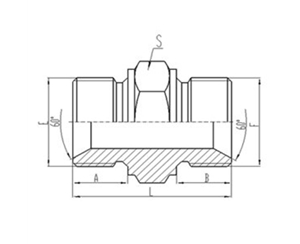 兩端公製外螺（luó）紋60°內錐麵密（mì）封（fēng）或組（zǔ）合墊密封